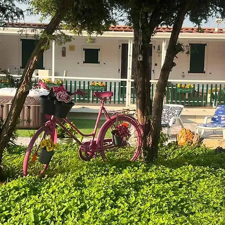 L&m Mobile